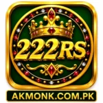222RS