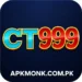 CT999 Game