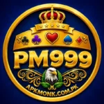 PM999 game