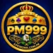 PM999 game