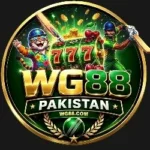 wg88