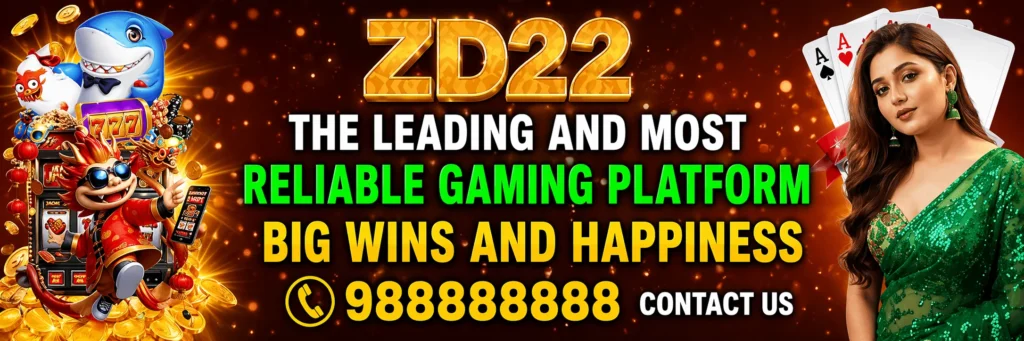 zd22 game contact us