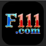 F111
