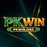 PKWIN