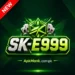 SK E999 Game