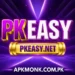 PKEASY