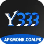 Y333